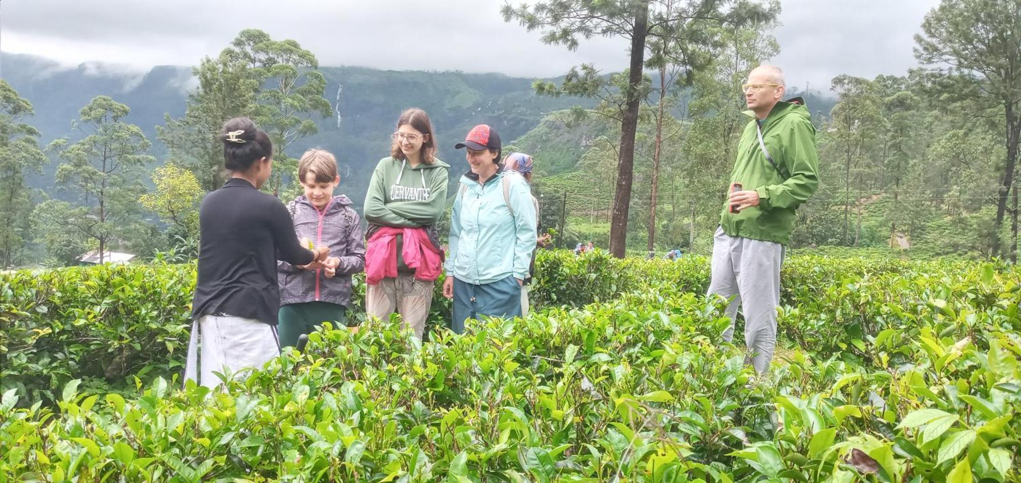 Serenity Heights Nuwara Eliya Luaran gambar