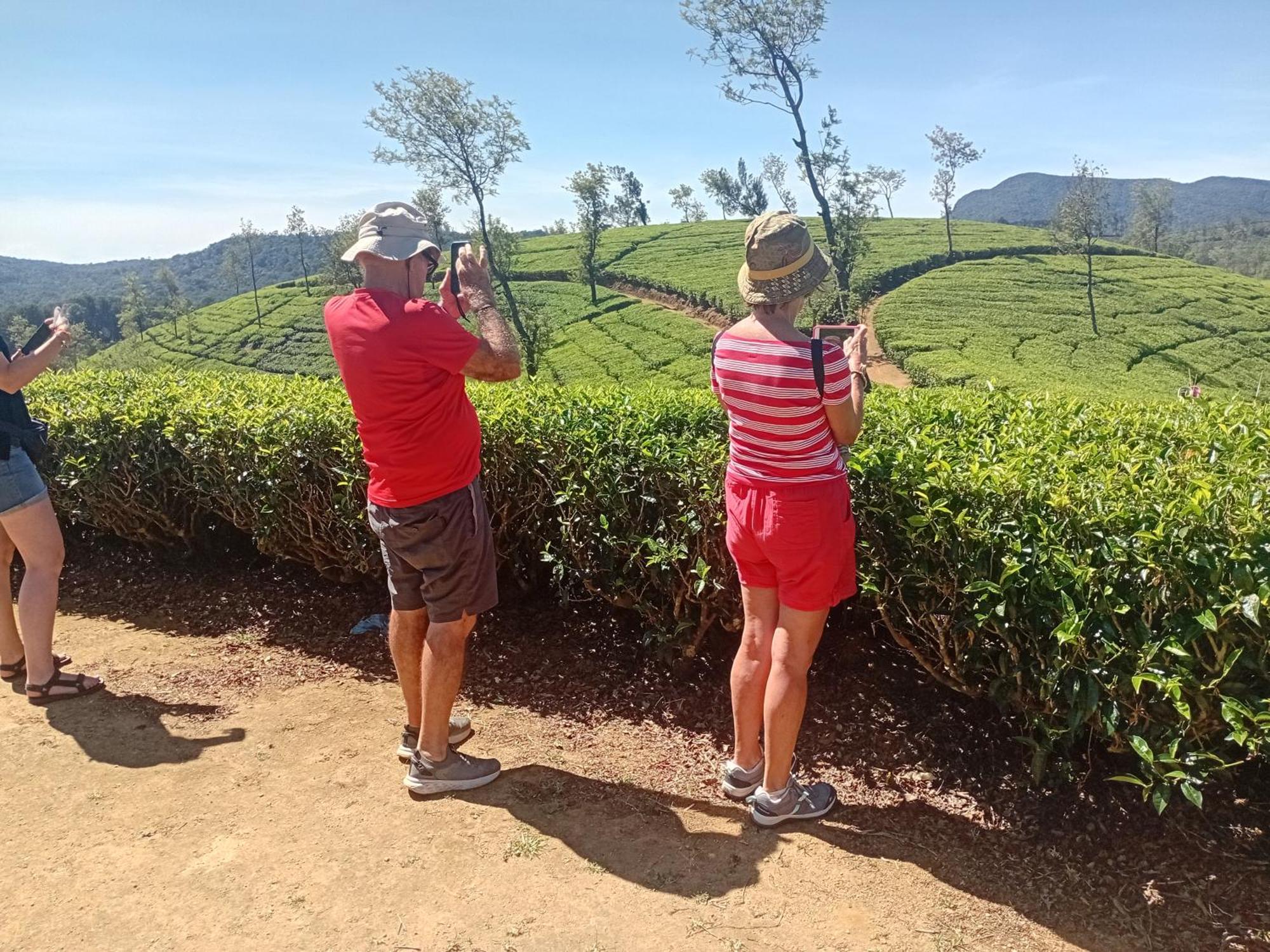 Serenity Heights Nuwara Eliya Luaran gambar